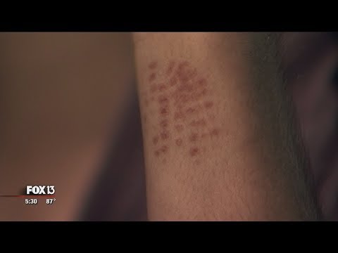 YouTube video player