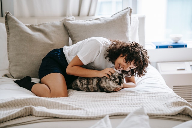 happy woman playing with a lovely cat on a cozy bed