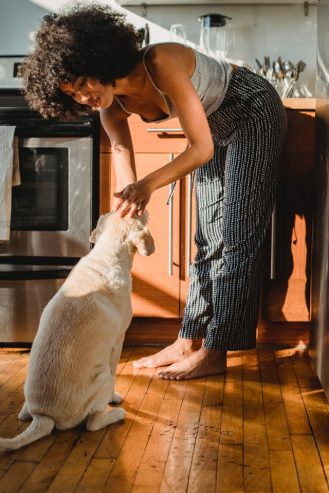 smiling black woman caressing a dog at the kitchen 