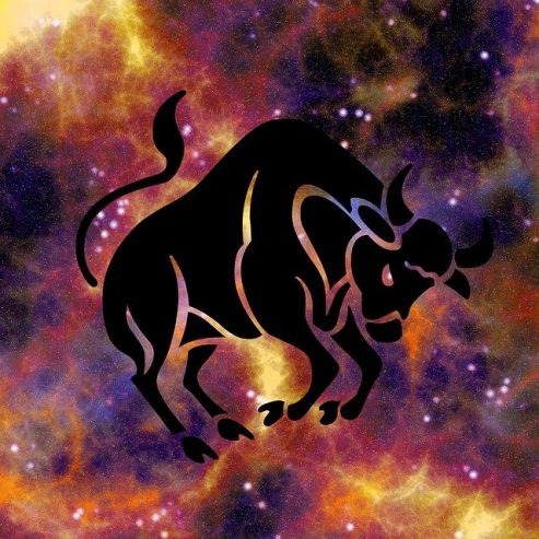 Taurus zodiac 