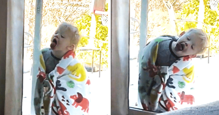Kids Being The Funniest