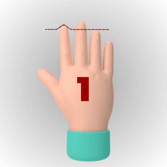 Index Finger Length