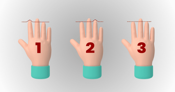 Index Finger Length