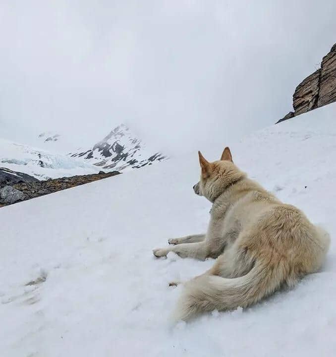 Deaf Hiker