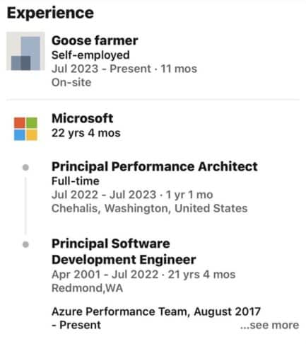 Microsoft Fires Engineer After 22 Years He Starts New Career As Goose 