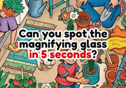 Spot a Magnifying Glass