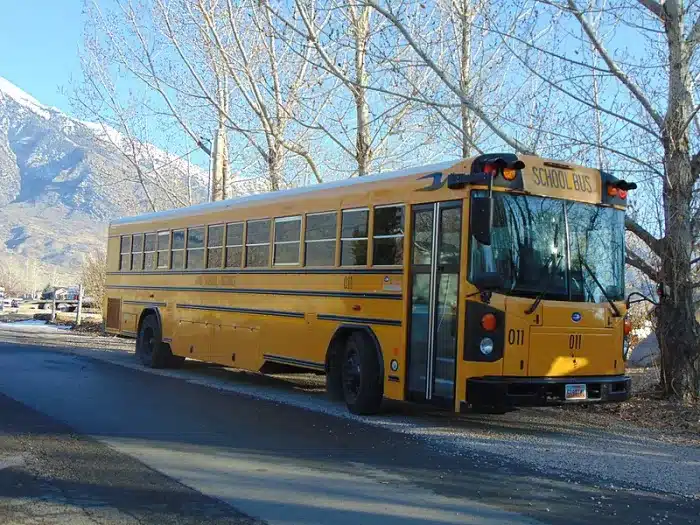 Teen Dies in School Bus Crash