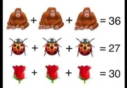 Ape Bug Rose
