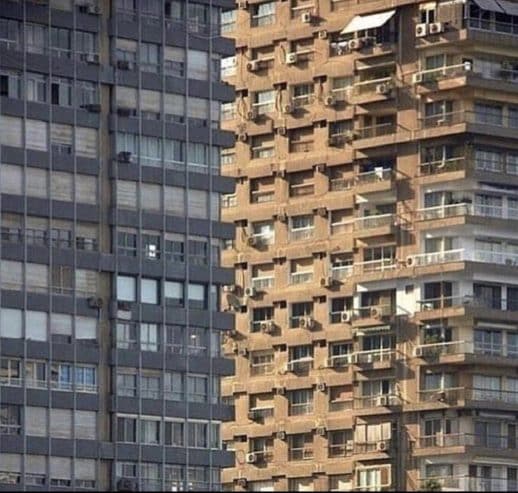 Viral Optical Illusion