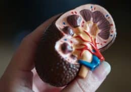 Kidney Disease