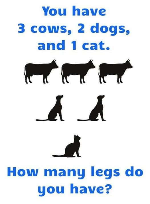 How Many Legs Do You Have