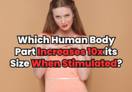 Human Body