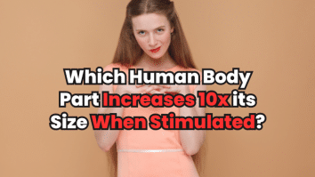 Human Body