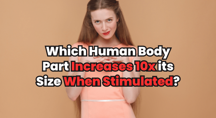 Human Body