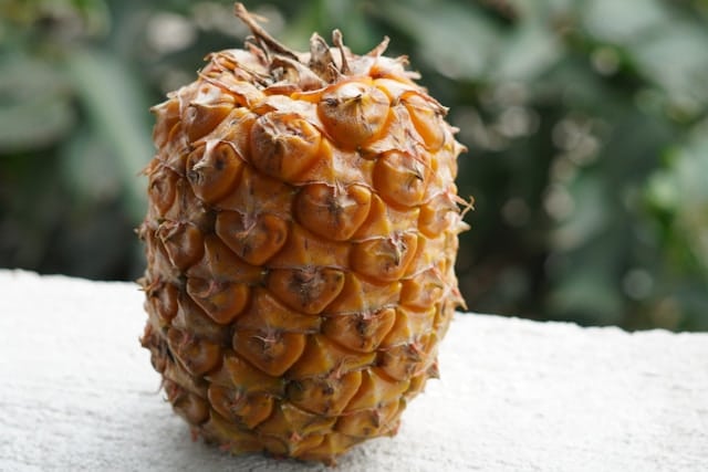 Pineapple 