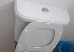 Dual-Flush Toilet