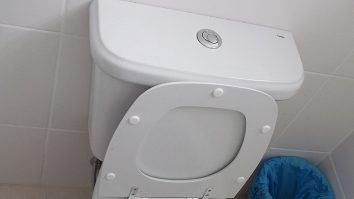 Dual-Flush Toilet