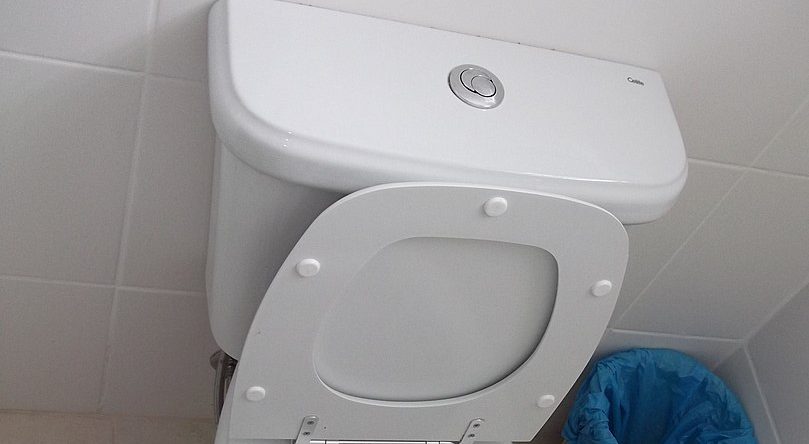 Dual-Flush Toilet