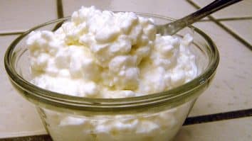 Cottage Cheese