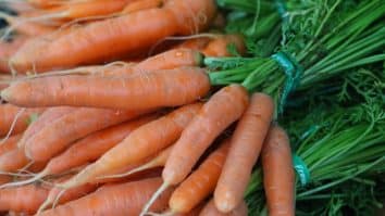 Carrot Tops