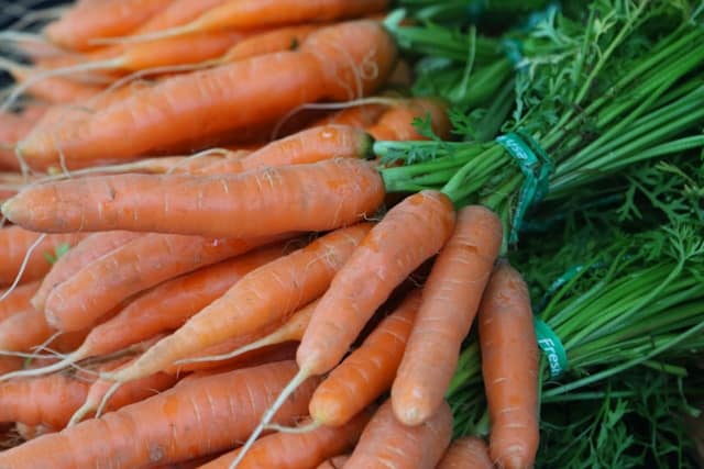 Carrot Tops