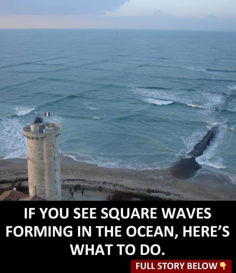 The Hidden Dangers of Square Waves in the Ocean