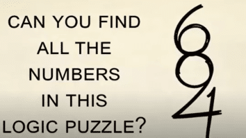 Visual Puzzle