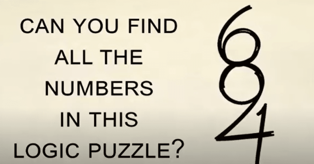 Visual Puzzle