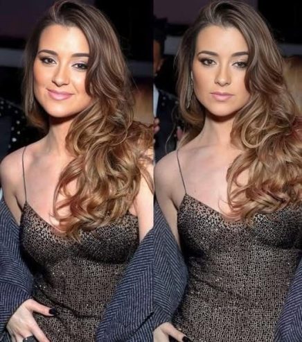 Cote de Pablo's New Romance: Who is Her Hollywood Boyfriend?