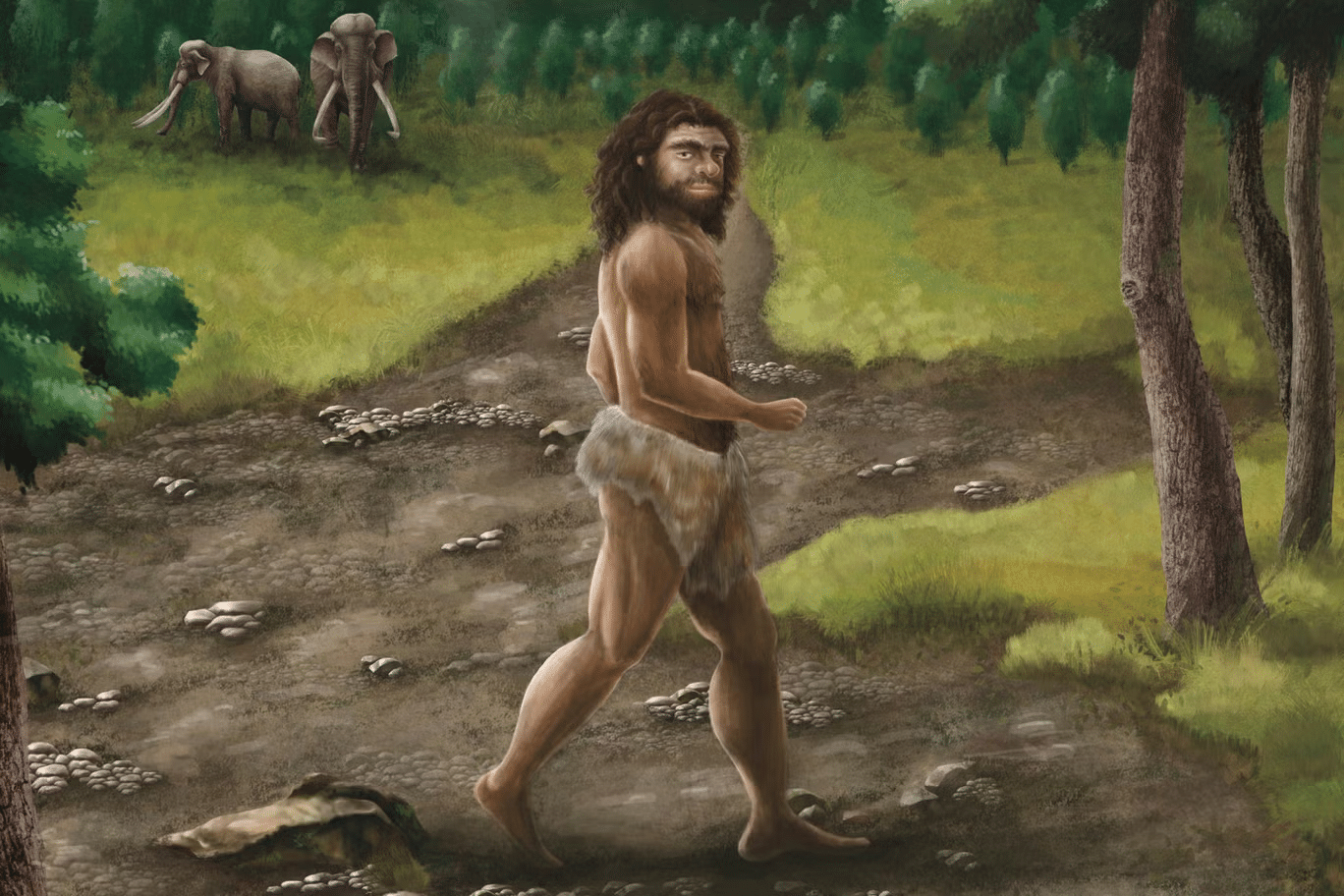 Denisovan