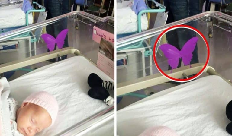 The Heartbreaking Meaning Behind a Purple Butterfly Sticker Near a Newborn