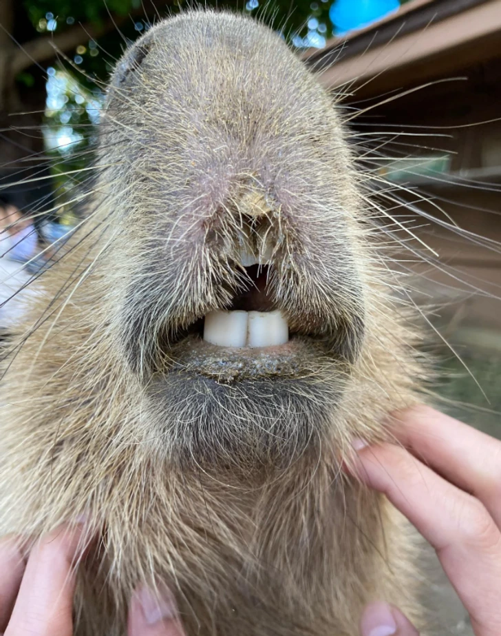 Strange Coincidences