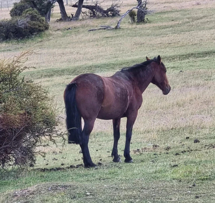 Strange Coincidences