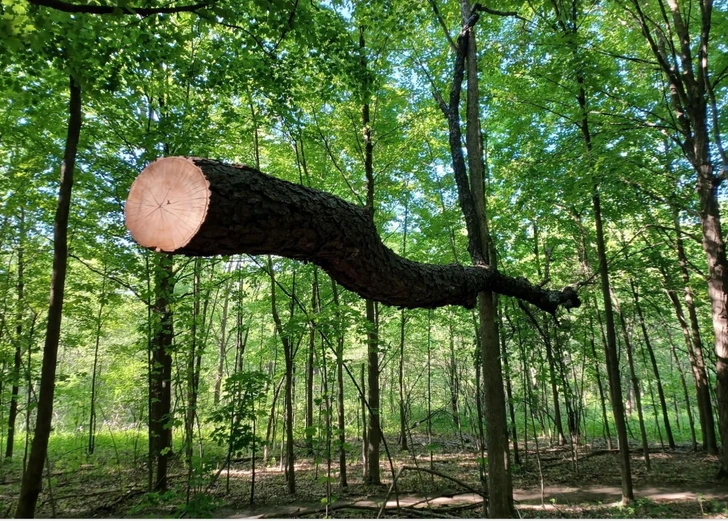 Strange Coincidences