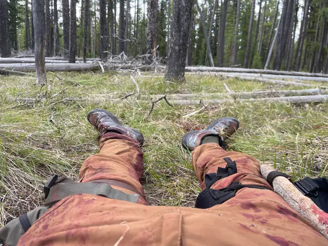 Bear Attack Survivor