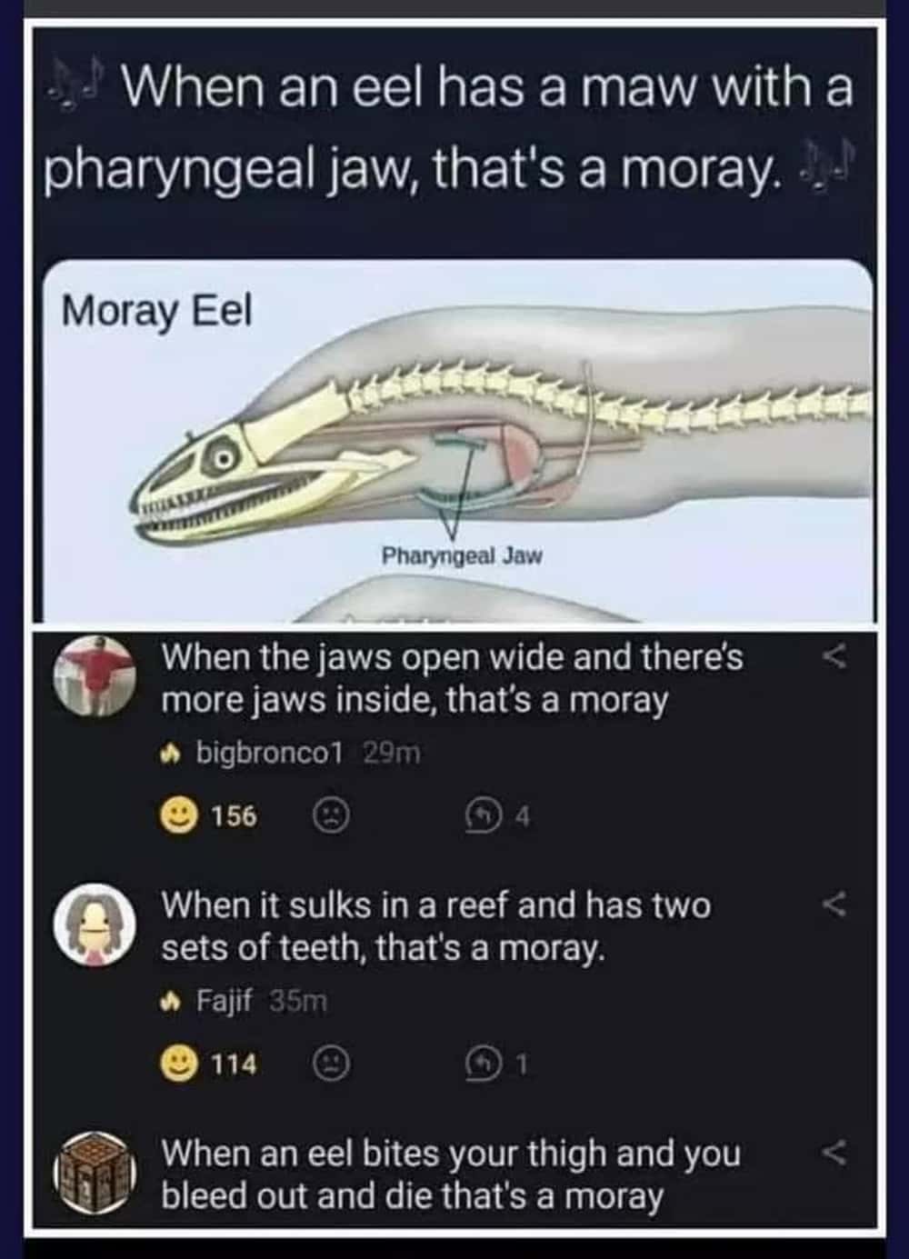 internet finds