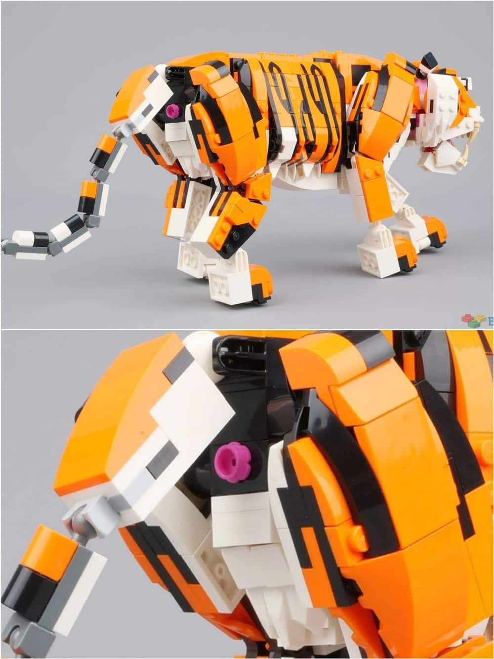 internet finds