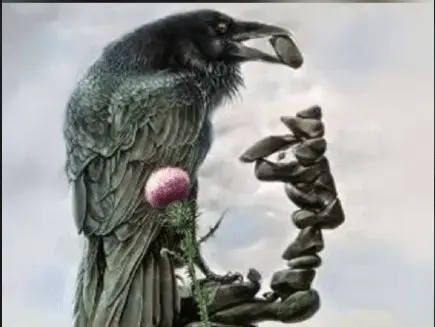 Optical Illusions