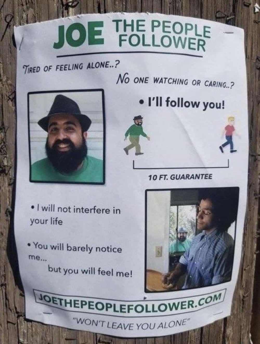 internet finds