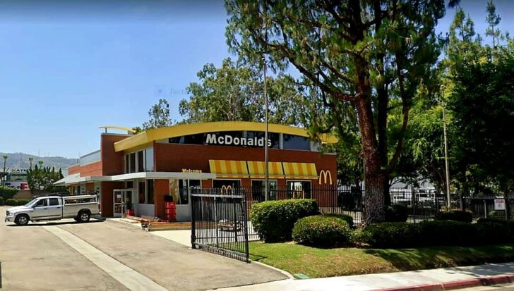 Fake McDonald’s