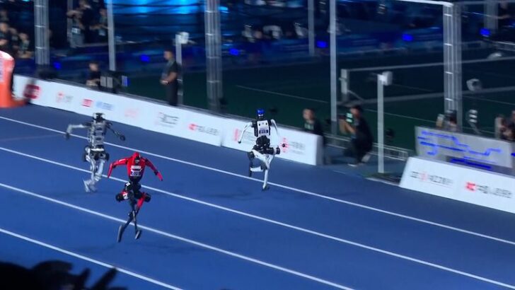 Usain Bolt